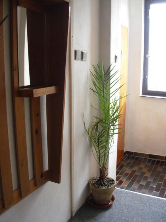 Penzion Hlinkova Plzeň Habitación foto