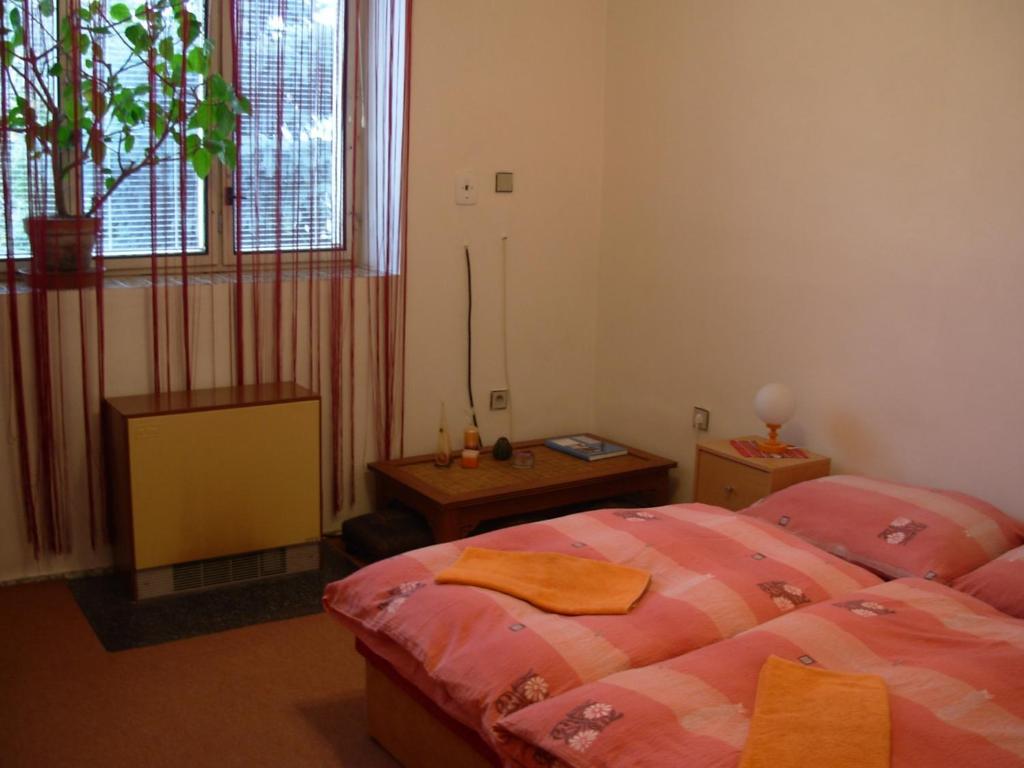 Penzion Hlinkova Plzeň Habitación foto