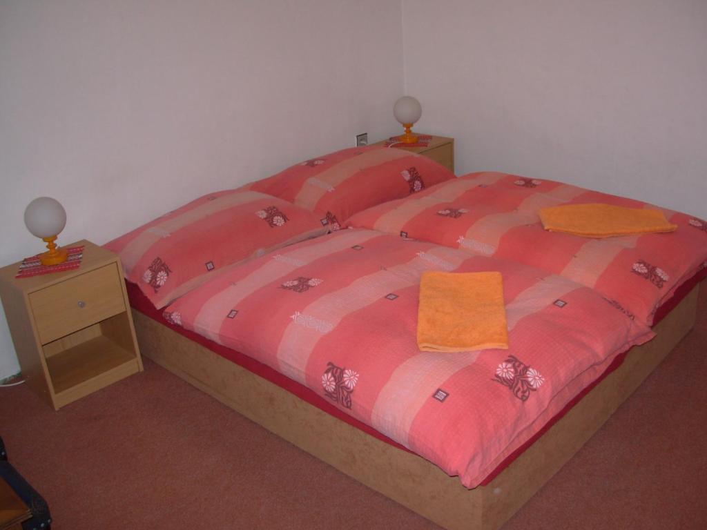 Penzion Hlinkova Plzeň Habitación foto