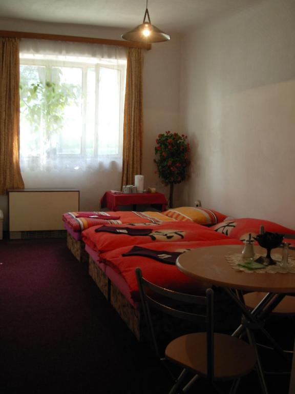 Penzion Hlinkova Plzeň Habitación foto